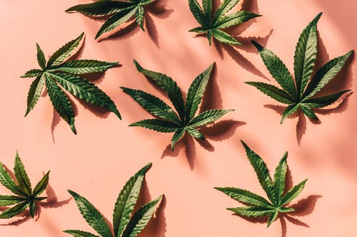 4 Legal Considerations before Purchasing Cannabis Online
